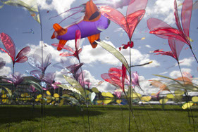 %_tempFileNametondellier_MG_9198%