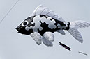 %_tempFileName1050%202012-09-11%2016-43-41%20ChNa%