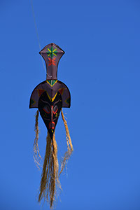© DCCV_DSC_6294 (12)