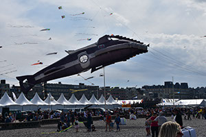 © DCCV_DSC_6294 (5)