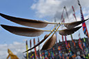 © DCCV_DSC_6294 (22)