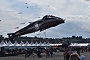 © DCCV_DSC_6294 (5)